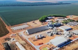 Safra 26/27 da soja come�a nesta quinta-feira em Mato Grosso