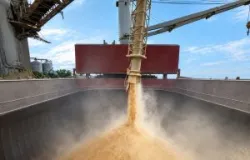 Fazenda de SP permite cr�dito de imposto na soja e evita perda para produtores