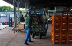 Governo SP ajuda quem perdeu tudo no fogo do Ceagesp com R$500 mil