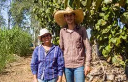 Programa gratuito ajuda pequenos pecuaristas de Mato Grosso a produzir mais e ganhar mais