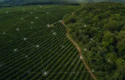 Fazendeiros que provam pr�ticas verdes pagam menos no cr�dito e evitam perdas no Brasil