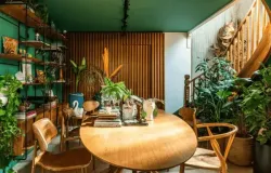 6 Plantas Quase Indestrut�veis para quem N�o Tem M�os Verdes e N�o Sabe Regar