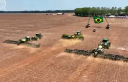 El Ni�o pode atrapilar o plantio da soja: entenda por que o clima de 2026 exige cautela