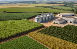 Produ��o agro do Brasil bate recorde de R$ 1,4 trilh�o em agosto