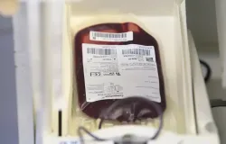 Sangue doado est� em falta e Funda��o Pr�-Sangue pede apoio imediato dos doadores