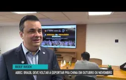 China deve voltar a comprar carne do Brasil ainda este ano, diz setor