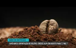 UE abre caminho para importa��o de frango do Brasil ap�s novo acordo