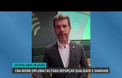 CNA explica a diplomatas europeus a qualidade da carne do Brasil