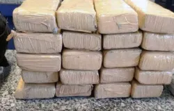 Pol�cia descobre 2,7 toneladas de maconha escondidas dentro de caixas de repolho em caminh�o em Santa Catarina