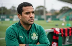Palmeiras provoca Flamengo e defende grama sint�tica ap�s cr�ticas ao Maracan�