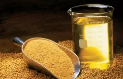 Brasil deve exportar mais �leo de soja e processar o gr�o em alta de 8,3%