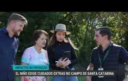 Gr�os em risco: como Santa Catarina luta contra as chuvas extremas do El Ni�o