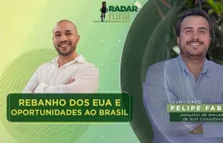 Rebanho dos EUA cai ao menor n�vel em 75 anos e abre portas para exporta��o da carne do Brasil