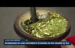 RS vira for�a no campo: veja como o estado gera riqueza e exporta muito