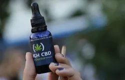 Justi�a do Brasil autoriza homem a plantar maconha para uso medicinal em casa na Bahia