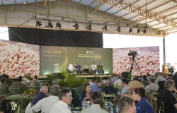 Perdeu o in�cio da planta��o de soja? Assista de novo ao grande evento do campo