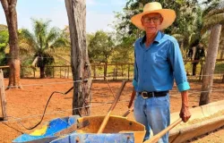 Homem de 81 anos emociona ao tratar bois de carro�a em fazenda de Rond�nia