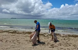 Volunt�rios limpam praia em Mar Grande e denunciam falta de reciclagem