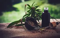 Regras sobre cannabis medicinal no Brasil deixam Associa��es de Pacientes na d�vida