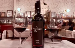 Vinho italiano de pequenas fam�lias: a riqueza oculta nos terroirs raros e artesanais