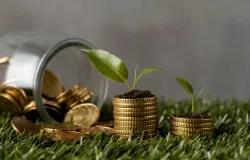 Entenda como o cr�dito rural pode salvar ou afundar a farm�cia do produtor rural