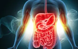 Cenoura simples ajuda a desentupir intestino e melhora digest�o com fibras