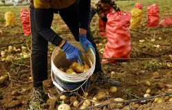 China constr�i data centers gigantescos no meio de campos de batatas para liderar a corrida da intelig�ncia artificial