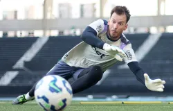 Juventus contrata goleiro Neto, ex-Botafogo