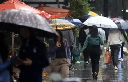 Chuva leve e frio marcam o fim de tarde em S�o Paulo; s�bado ser� de sol