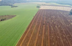 Financiamento barato para comprar terra agroneg�cios atrai jovens agricultores
