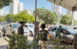 Distribui��o de 10 mil mudas frut�feras lota o centro de Campo Grande neste s�bado