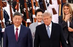Dois pandas gigantes chegam aos EUA em gesto diplom�tico ap�s visita de Xi a Washington