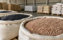 Feij�o fica mais caro por falta de produto, alerta mercado