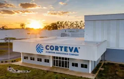 Corteva e Inari encerram briga judicial por sementes de milho e soja