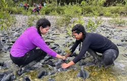 F�rum nacional de educa��o ambiental abre inscri��es para apresenta��es de trabalhos
