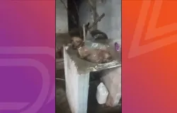 Calor de 42�C em Rondon�polis leva cachorro a tomar banho de tanque sozinho