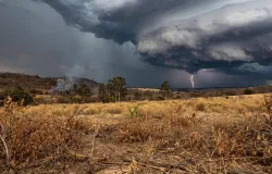 SP emite 34 alertas de tempestade e alerta para risco de inc�ndios