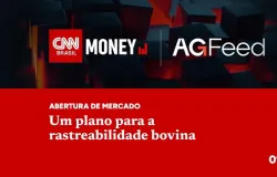 Brasil pode usar cadastro rural e registro de gado para monitorar a origem da carne