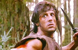 Sylvester Stallone odiou tanto Rambo que tentou comprar os direitos do filme para queim�-lo