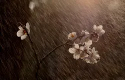 Tempestades fortes e ventos de 90 km/h atingem todo o Brasil neste s�bado