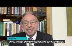 Especialista diz para pecuarista n�o se preocupar: pre�o da carne pode subir e setor segue forte