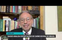 Especialista tranquiliza: exporta��o de carne bovina do Brasil segue forte apesar das crises