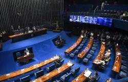 Elei��es 2026: Veja quem est� � frente na corrida pelo Senado Federal