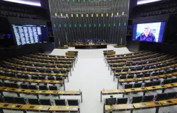 Elei��es 2026: saiba como acompanhar o resultado para deputado federal
