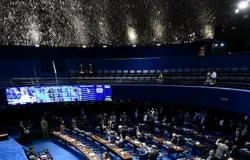 Elei��es 2026: Confira quem venceu a disputa pelo Senado Federal