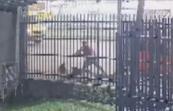 Motorista de app arranca cabelo e joga mulher na cal�ada em Curitiba
