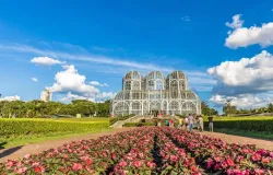 Cubanos escolhem Curitiba para recome�ar a vida no Brasil