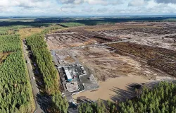 Finl�ndia obriga Google a parar obras de dois data centers por corte de floresta