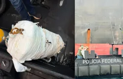 Opera��o encontra grande quantidade de droga escondida em navio na Ba�a de Todos-os-Santos