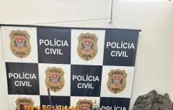 Homem � investigado por ca�ar animais e esconder 3 armas em s�tio no interior de SP